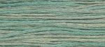 (image for) Blue Fescue
